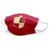 Mascarilla Gryffindor Escudo Infantil - Harry Potter